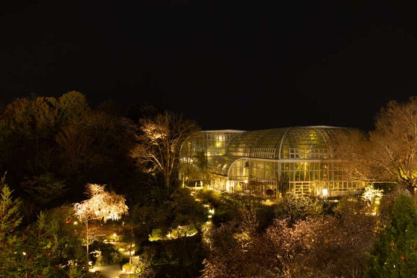 【岡山・倉敷発】 読売夜間貸切!牧野植物園と竹林寺ライトアップ・土佐の日曜市 日帰り1